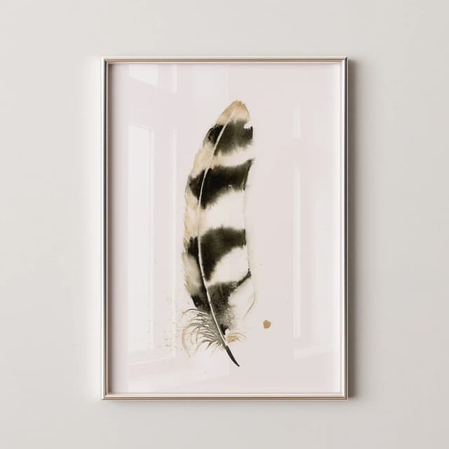 Barred Owl shown in a room setting