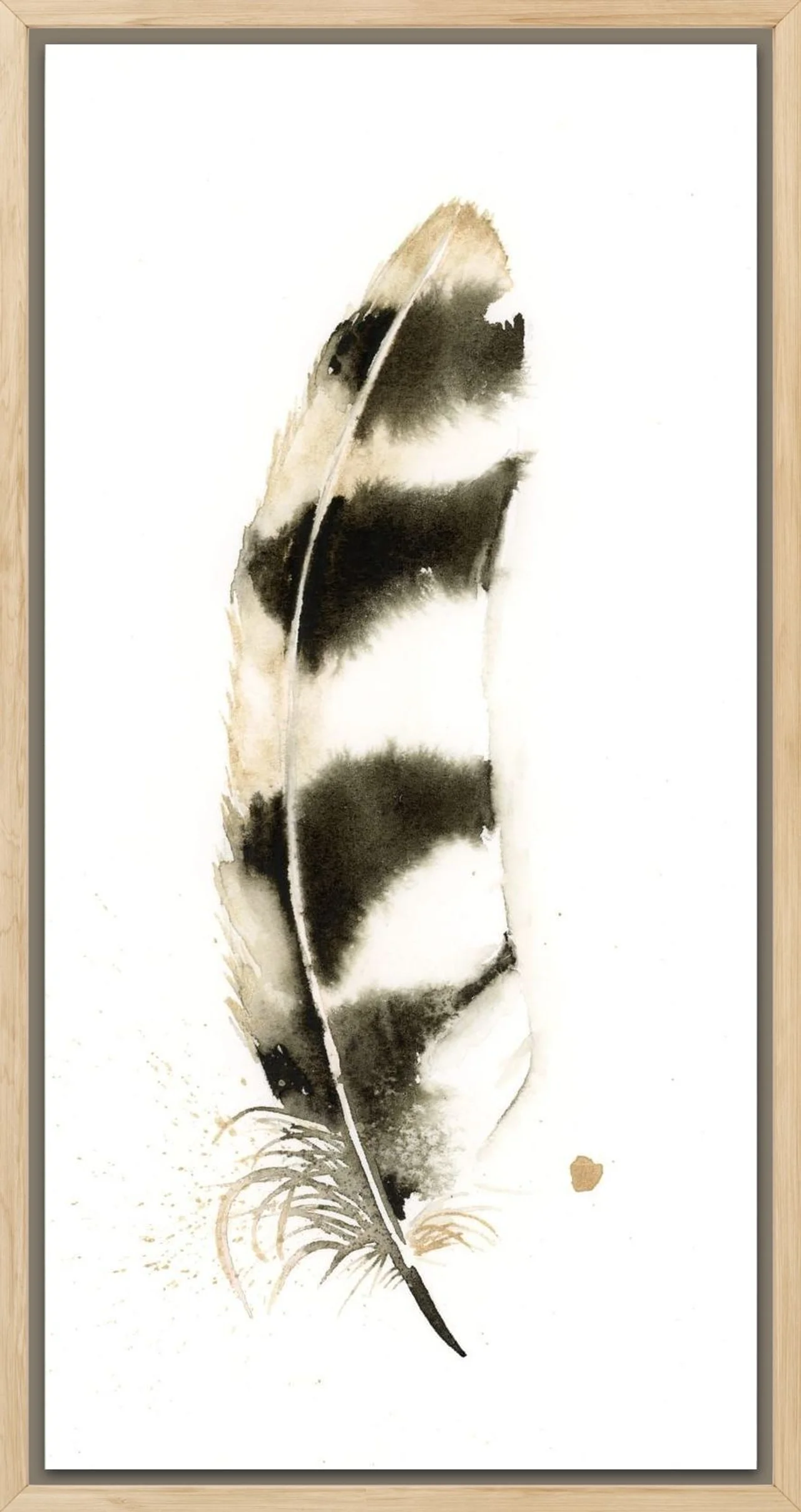 Barred Owl shown in a room setting