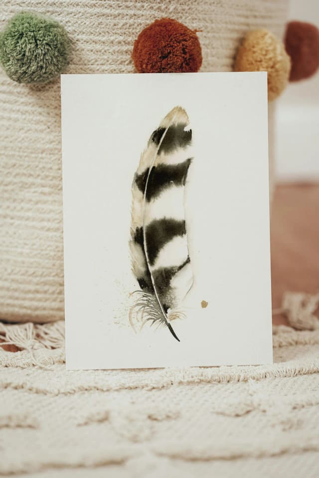 Barred Owl shown in a room setting