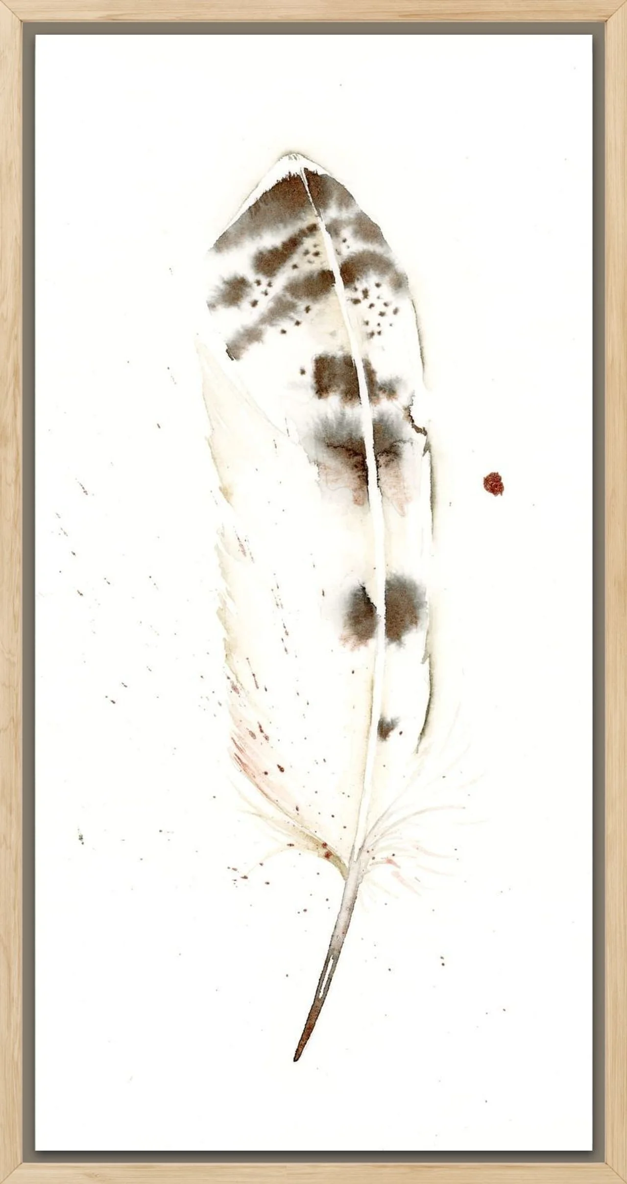 Snowy Owl shown in a room setting