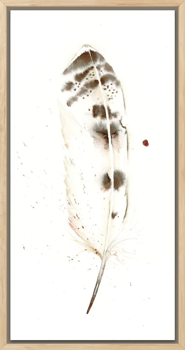 Snowy Owl shown in a room setting