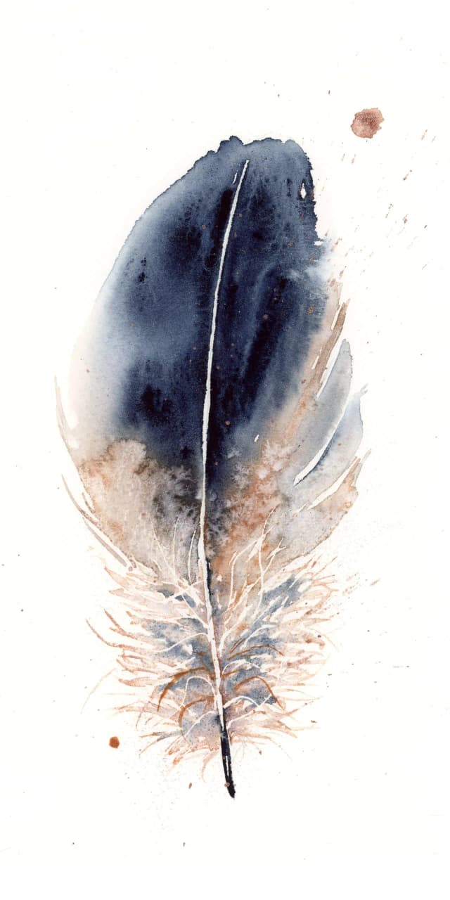 Cooper's Hawk — watercolor by Shayna Larsen