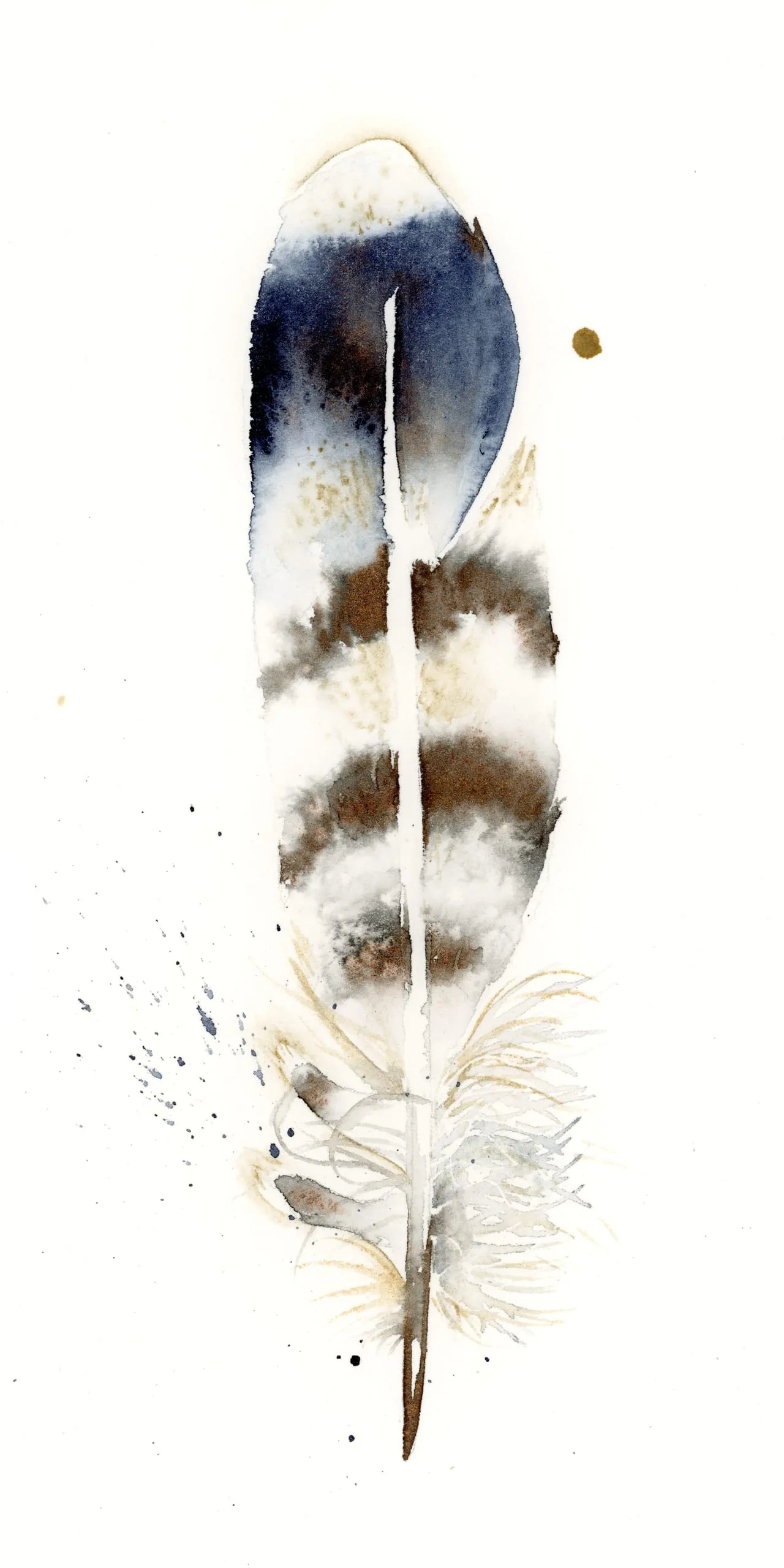Osprey — watercolor by Shayna Larsen