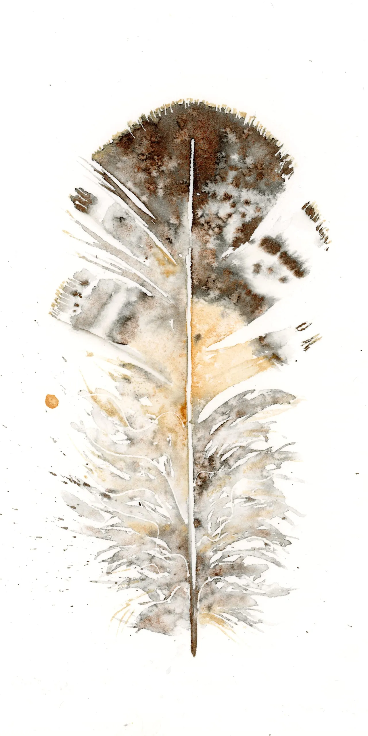 Great Horned Owl — watercolor by Shayna Larsen
