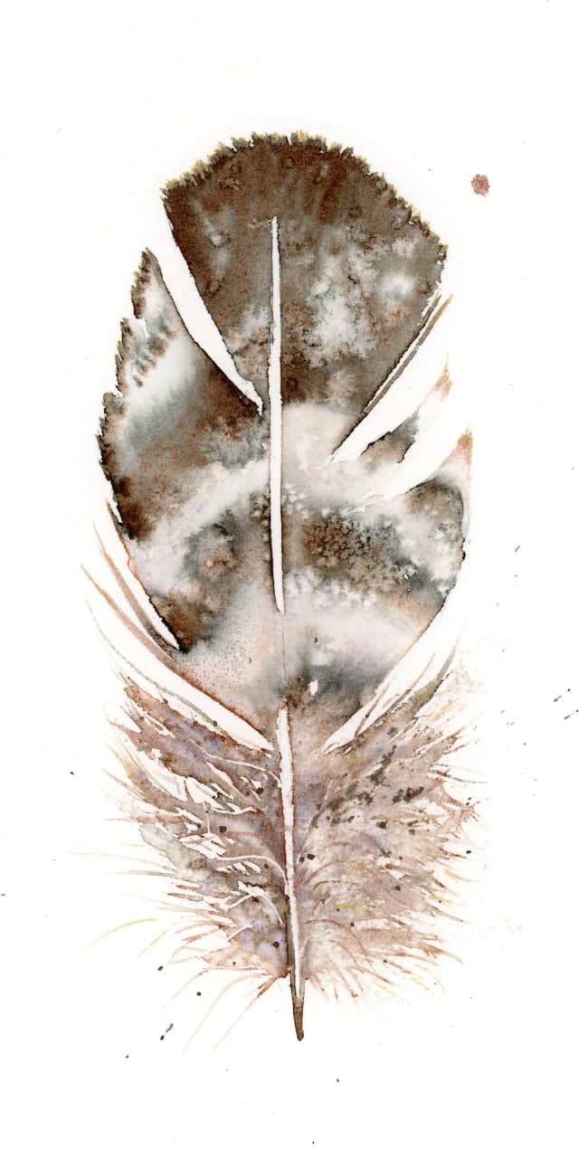 Great Horned Owl — watercolor by Shayna Larsen