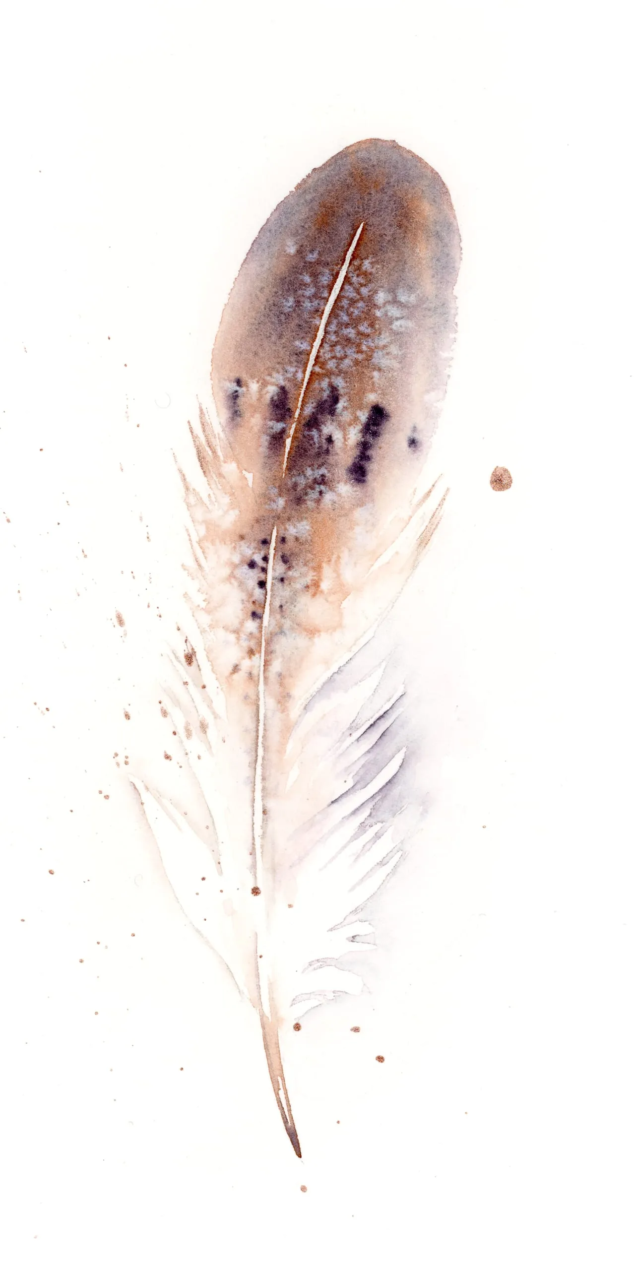 Golden Eagle — watercolor by Shayna Larsen