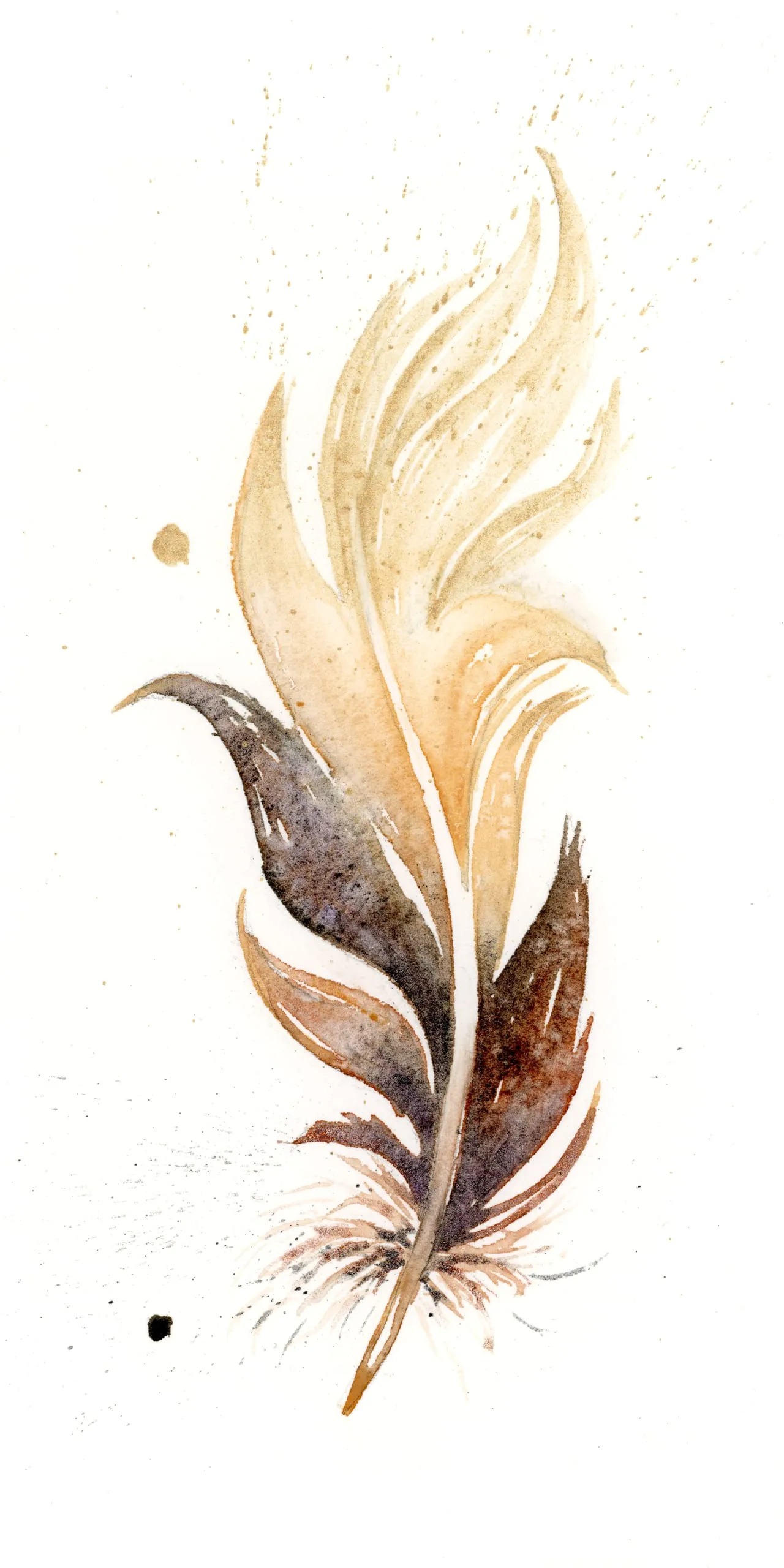 Phoenix — watercolor by Shayna Larsen