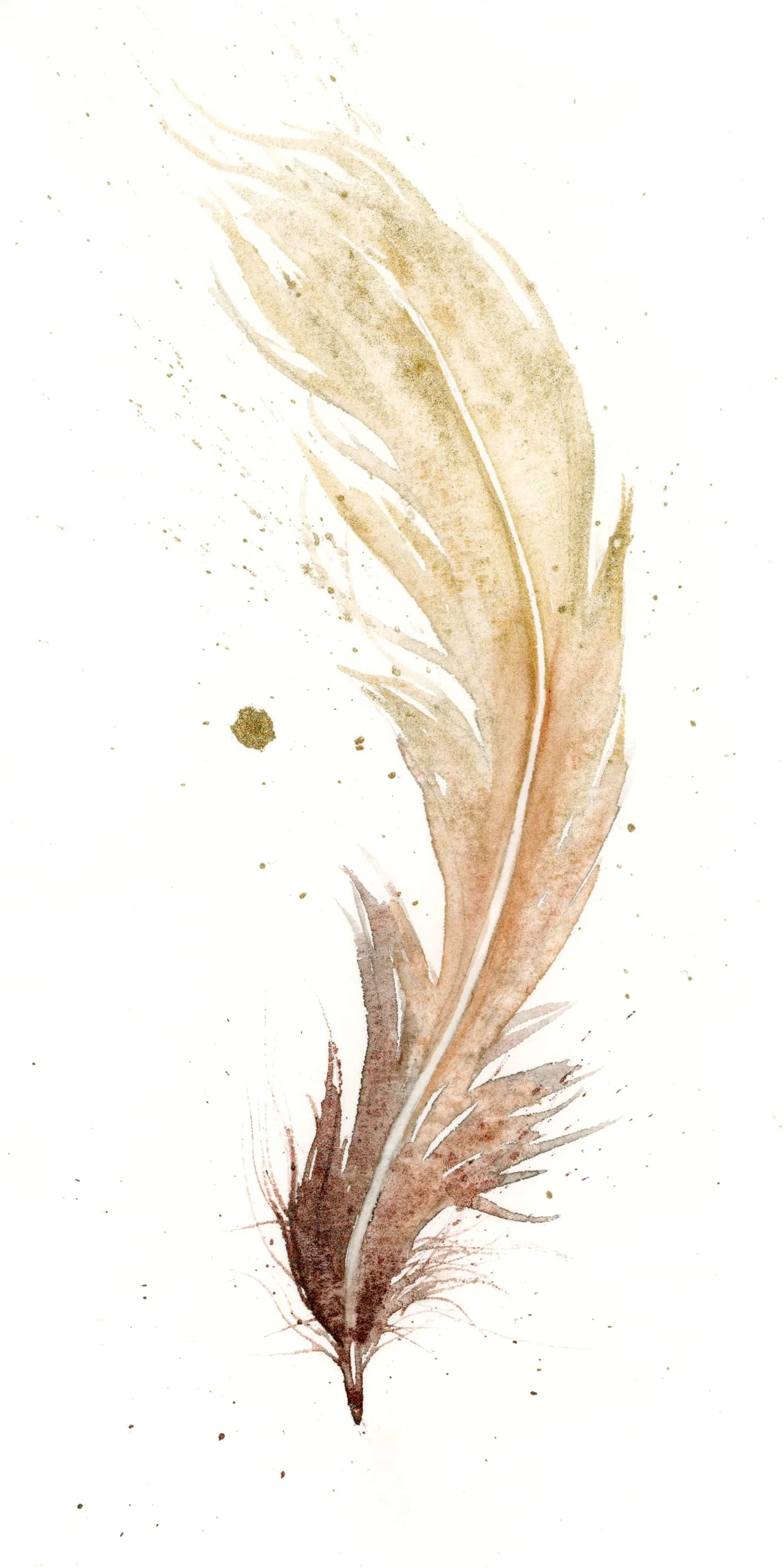 Phoenix — watercolor by Shayna Larsen