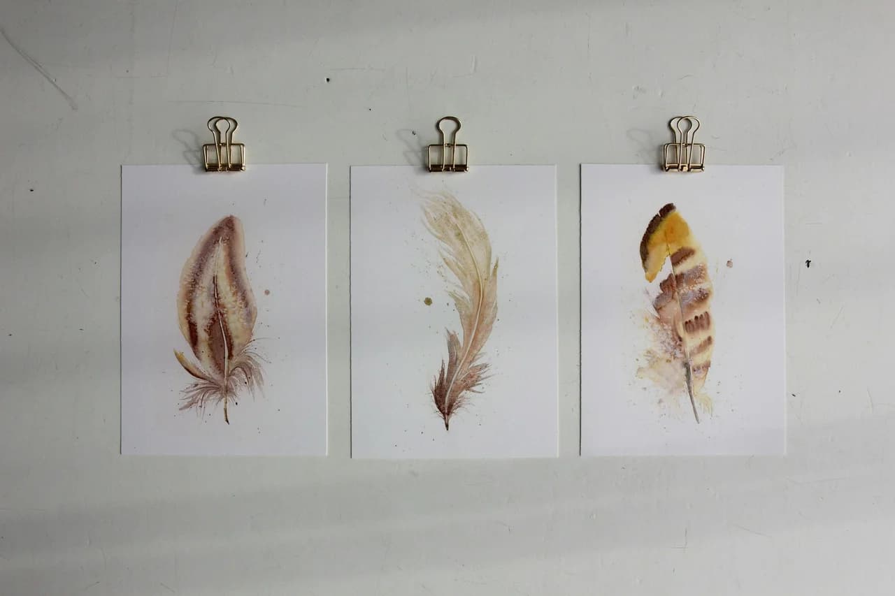 Phoenix shown in a room setting