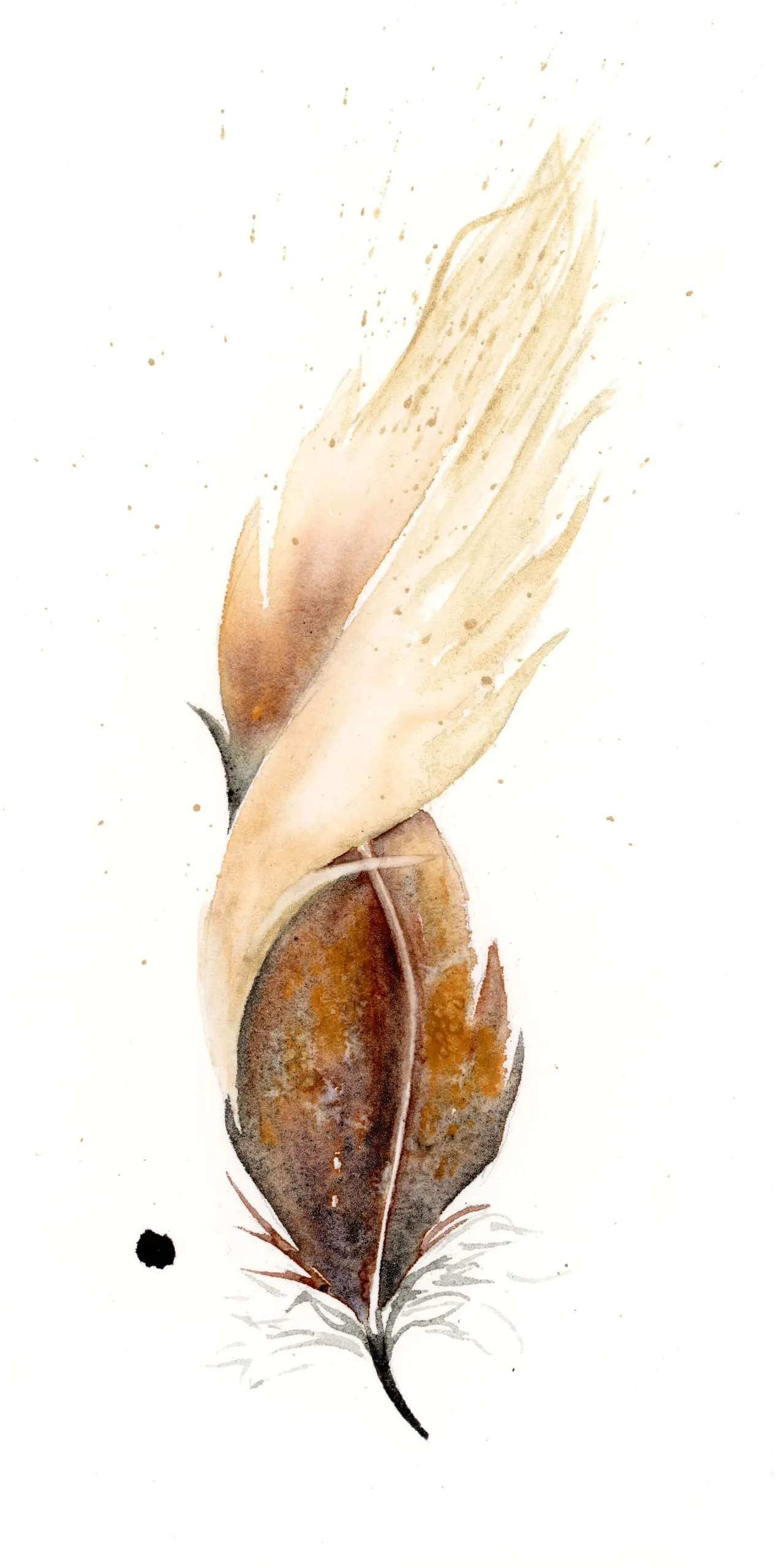Phoenix — watercolor by Shayna Larsen