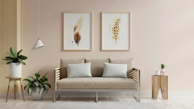 Phoenix shown in a room setting