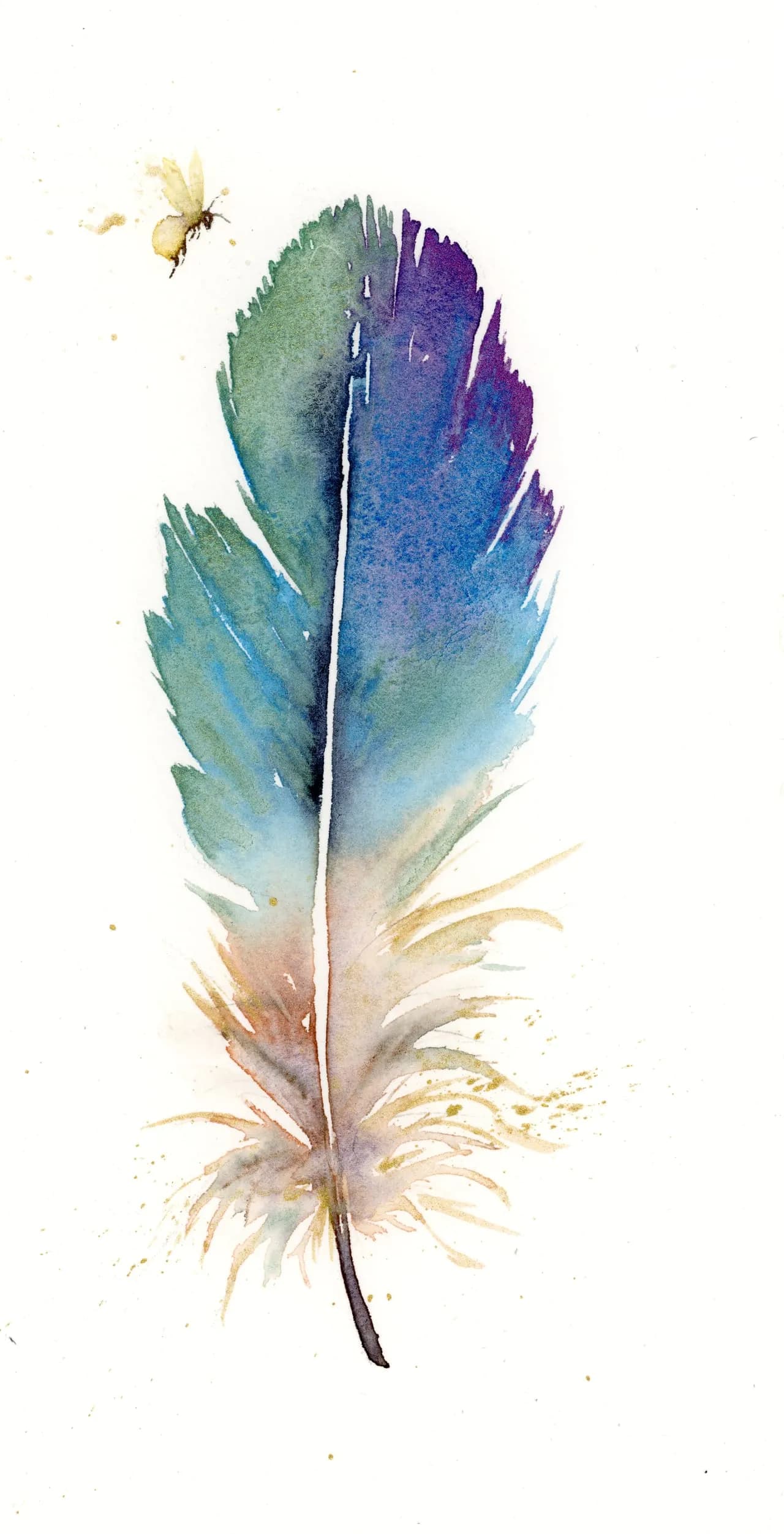 Hummingbird — watercolor by Shayna Larsen
