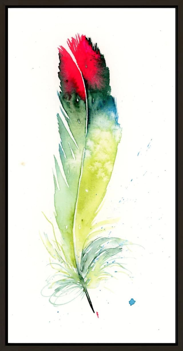 Parakeet shown in a room setting