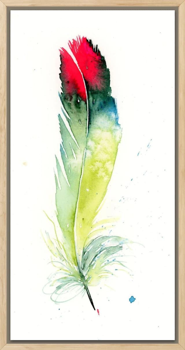 Parakeet shown in a room setting