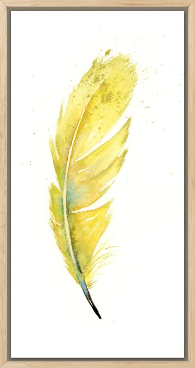 Goldfinch shown in a room setting
