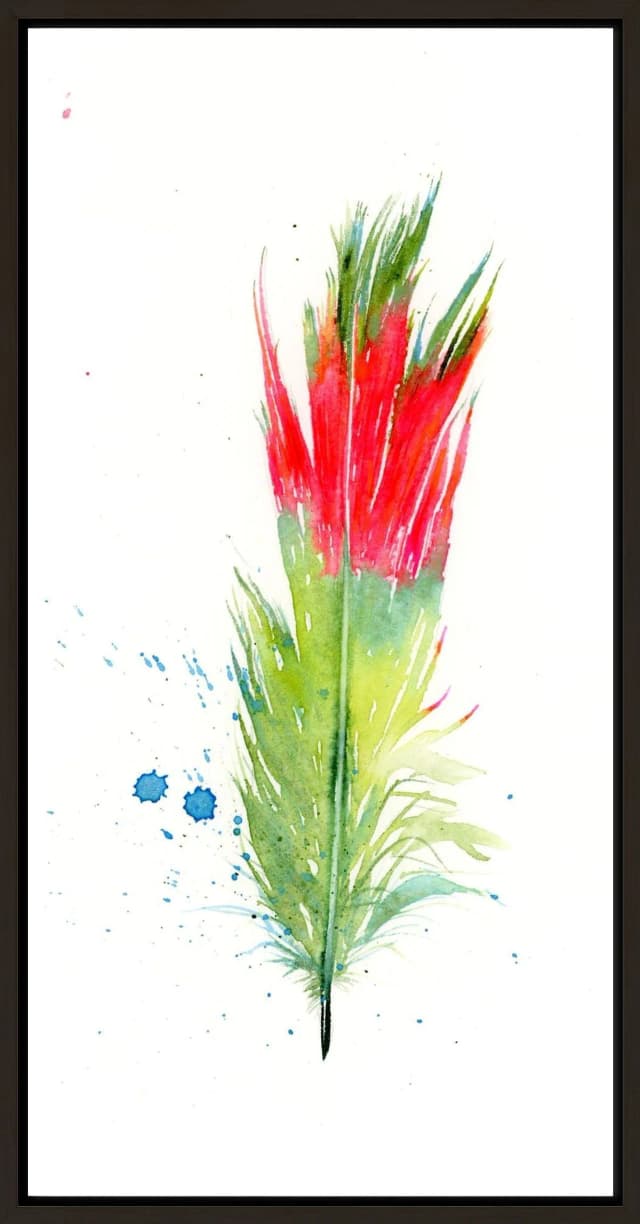 Parakeet shown in a room setting
