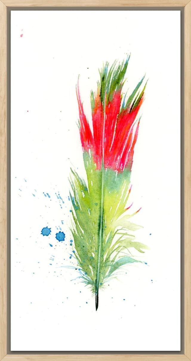 Parakeet shown in a room setting