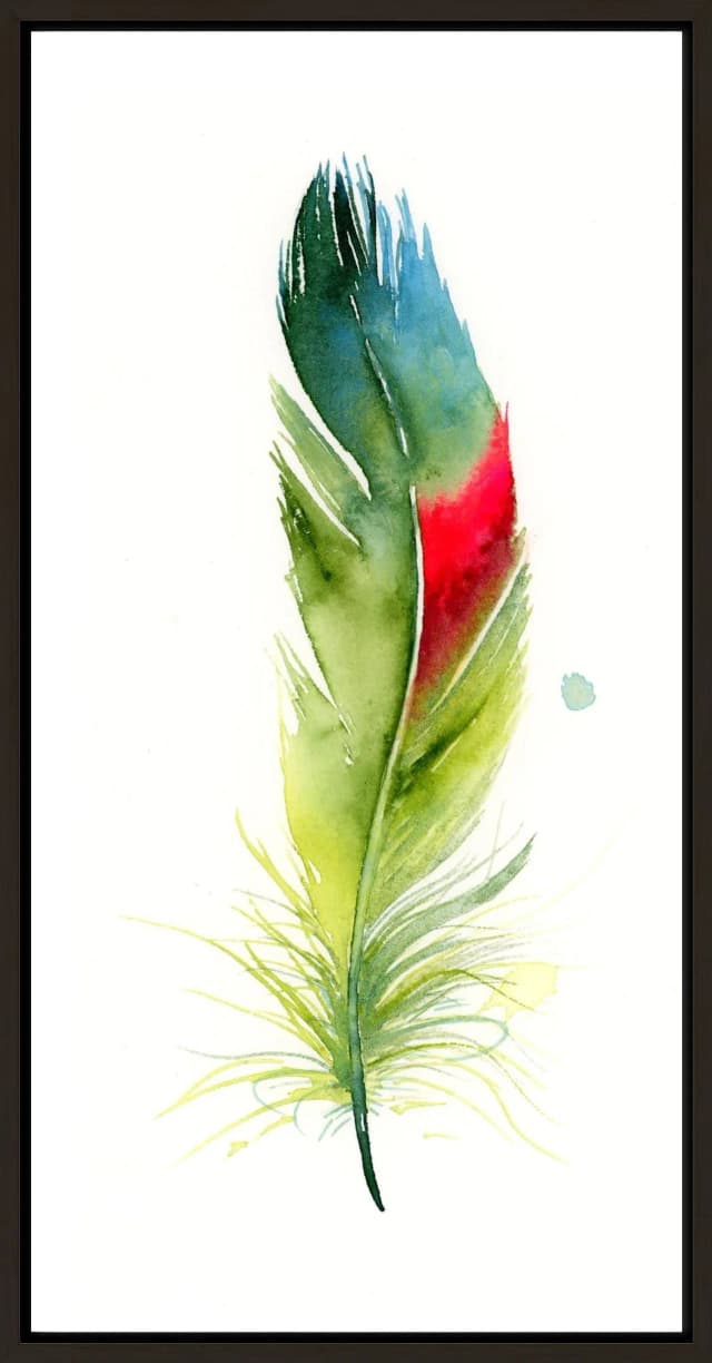 Parakeet shown in a room setting