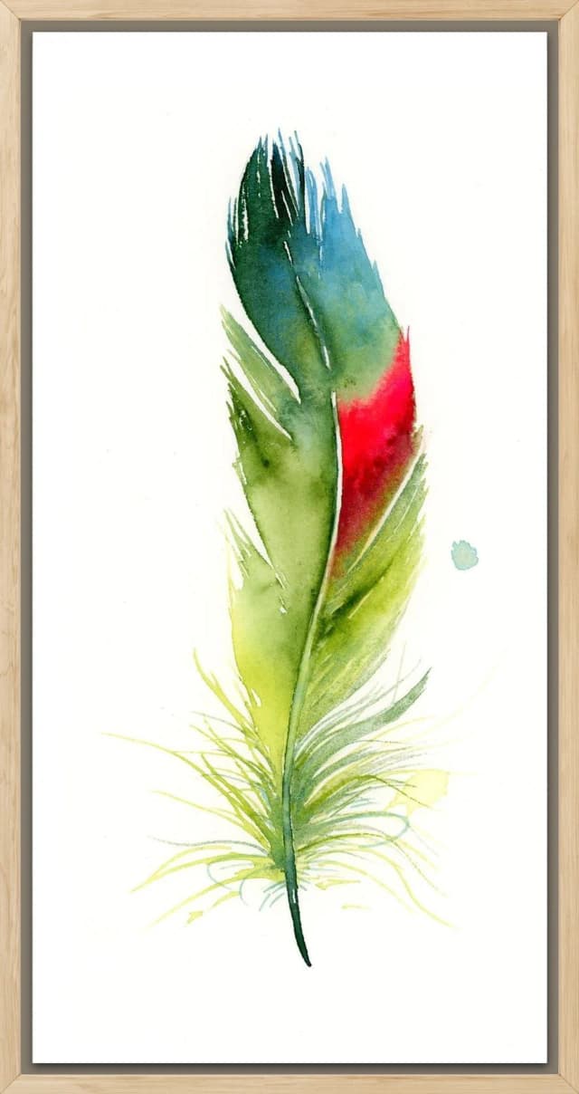 Parakeet shown in a room setting