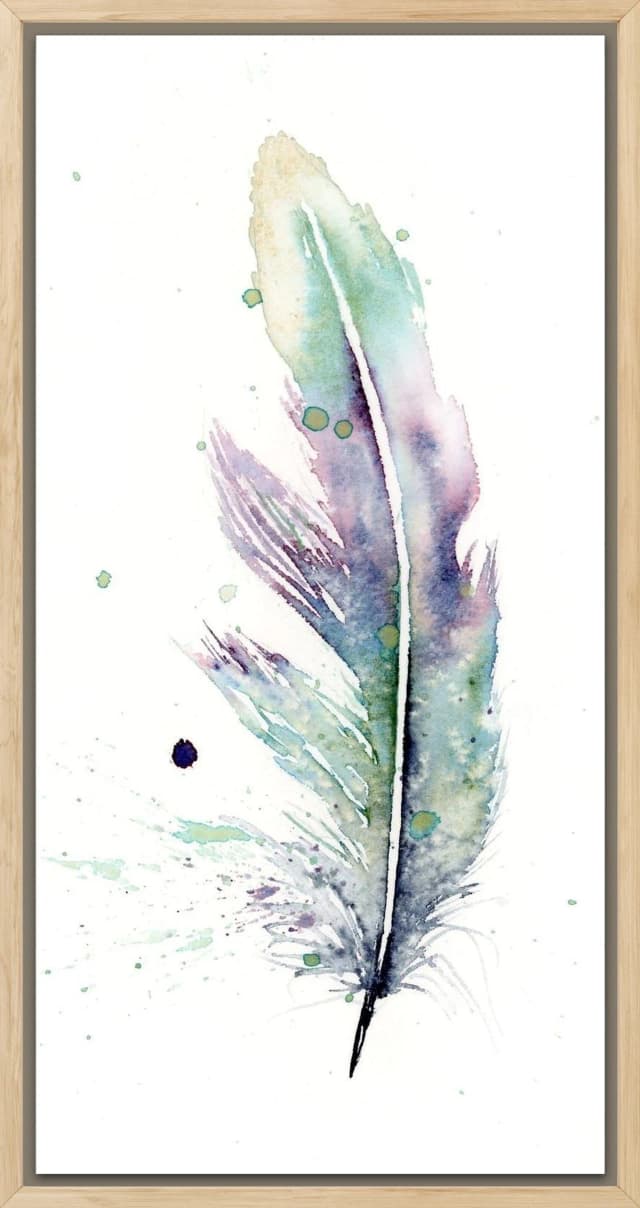 Violet-ear Hummingbird shown in a room setting