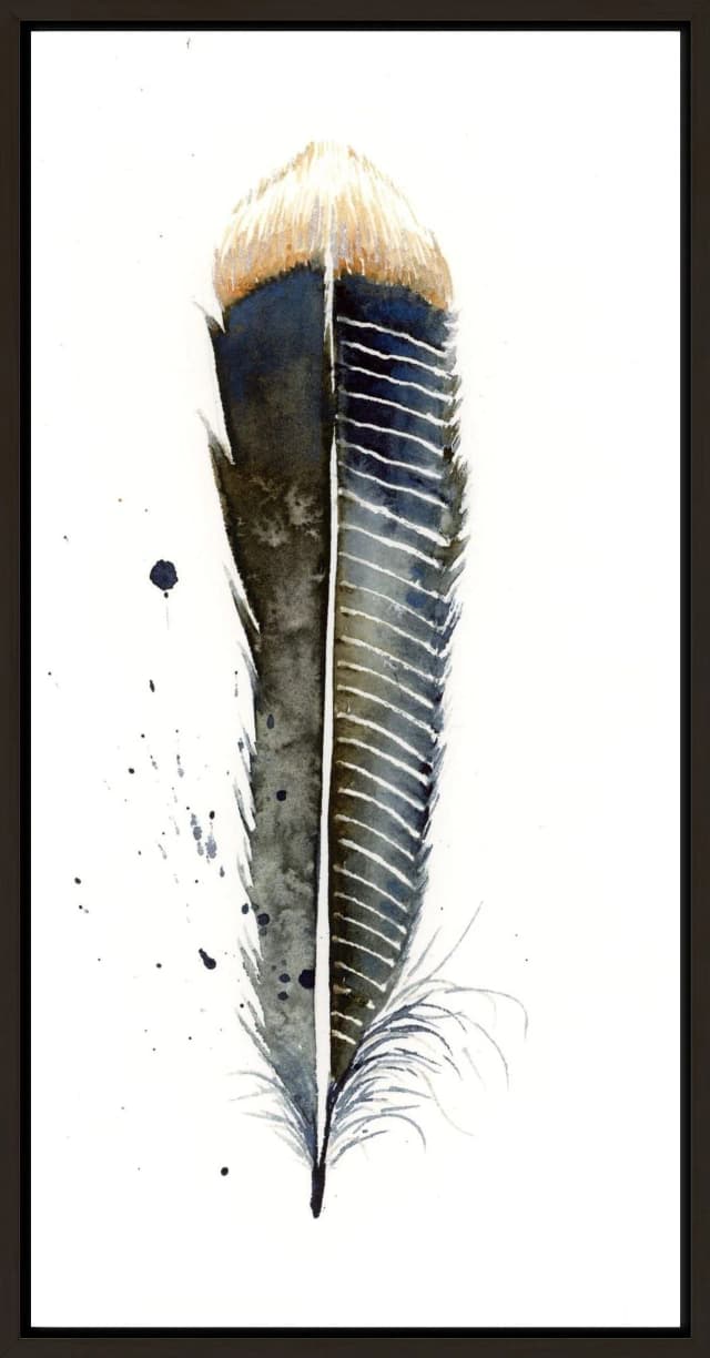 Anhinga shown in a room setting