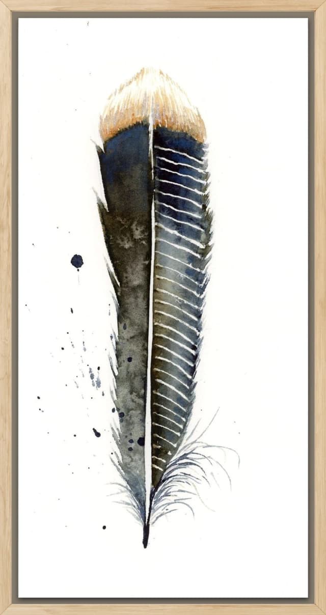 Anhinga shown in a room setting