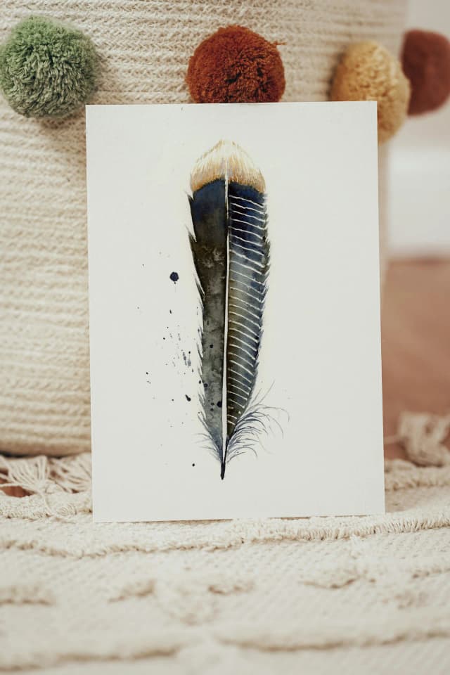 Anhinga shown in a room setting
