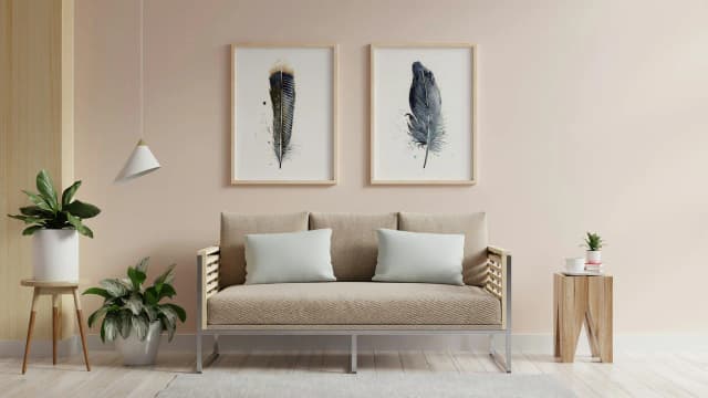 Anhinga shown in a room setting