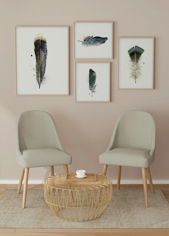 Anhinga shown in a room setting
