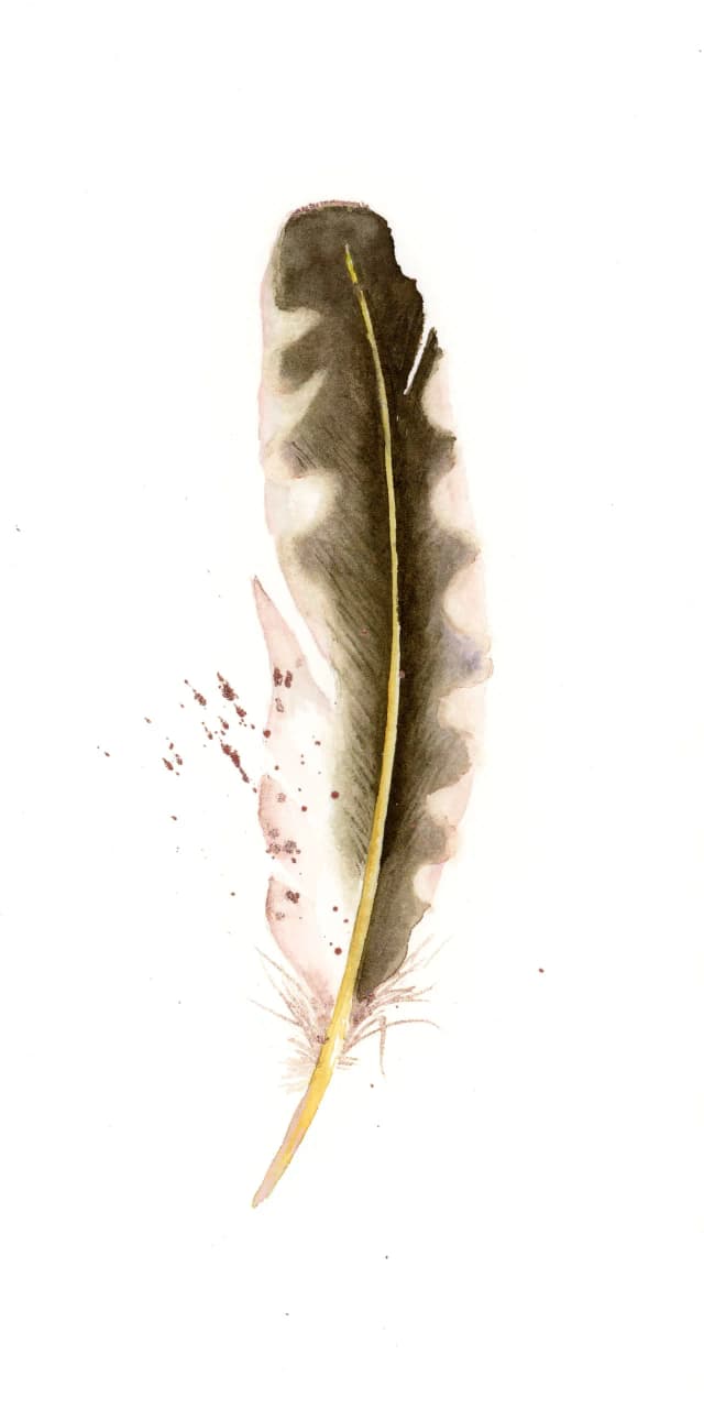 Yellow-shafted Northern Flicker — watercolor by Shayna Larsen