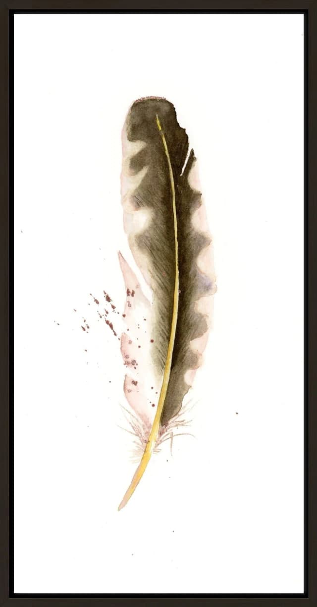 Yellow-shafted Northern Flicker shown in a room setting