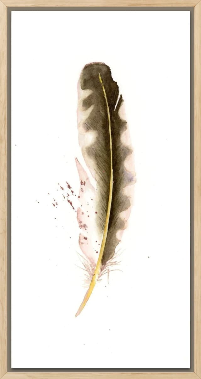 Yellow-shafted Northern Flicker shown in a room setting