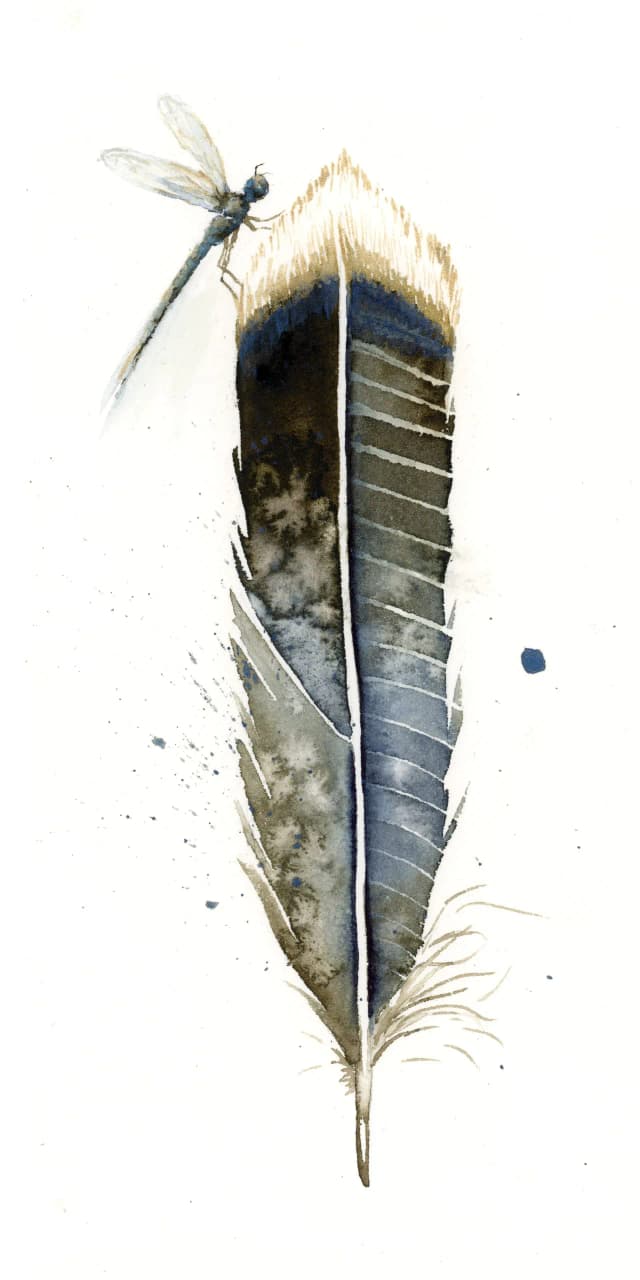 Anhinga — watercolor by Shayna Larsen