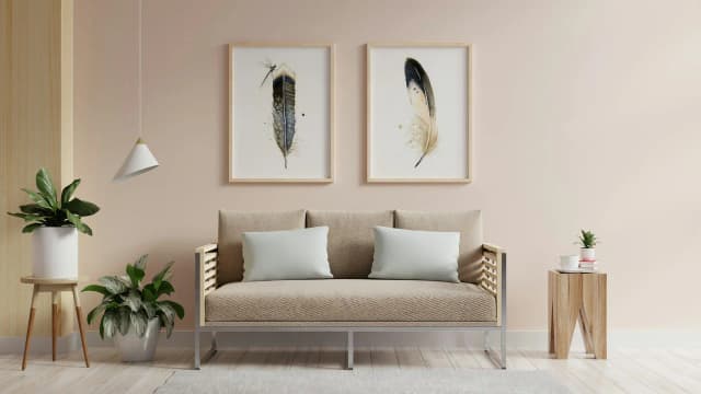 Anhinga shown in a room setting