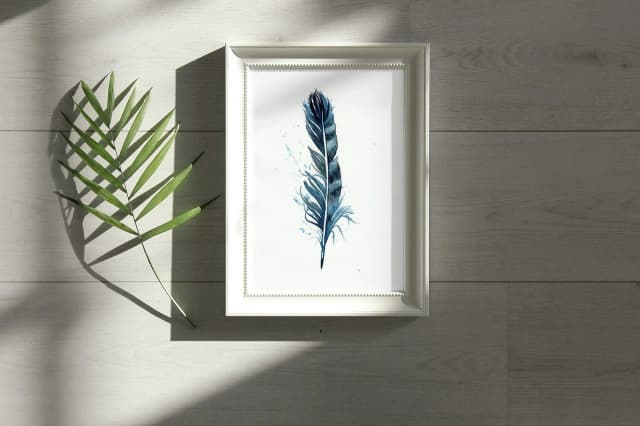 Blue Jay shown in a room setting