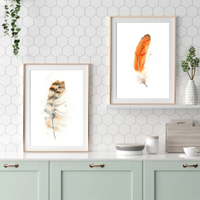 Robin shown in a room setting