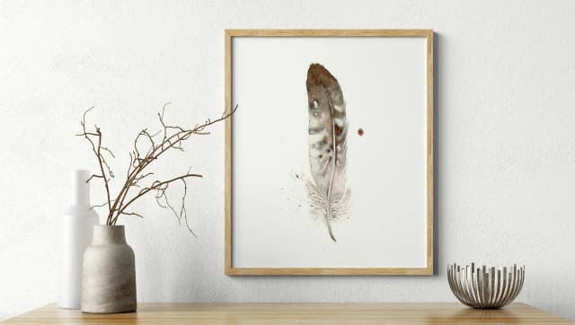 Gull shown in a room setting