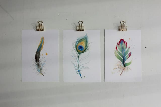 Peacock shown in a room setting