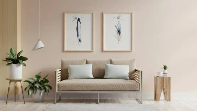 Magpie shown in a room setting