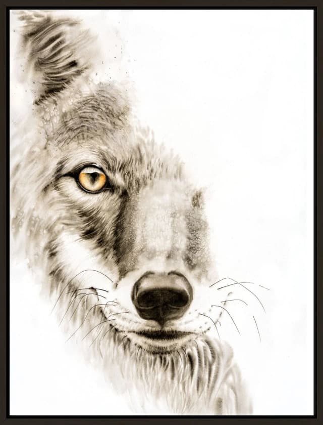 Coyote #1 shown in a room setting