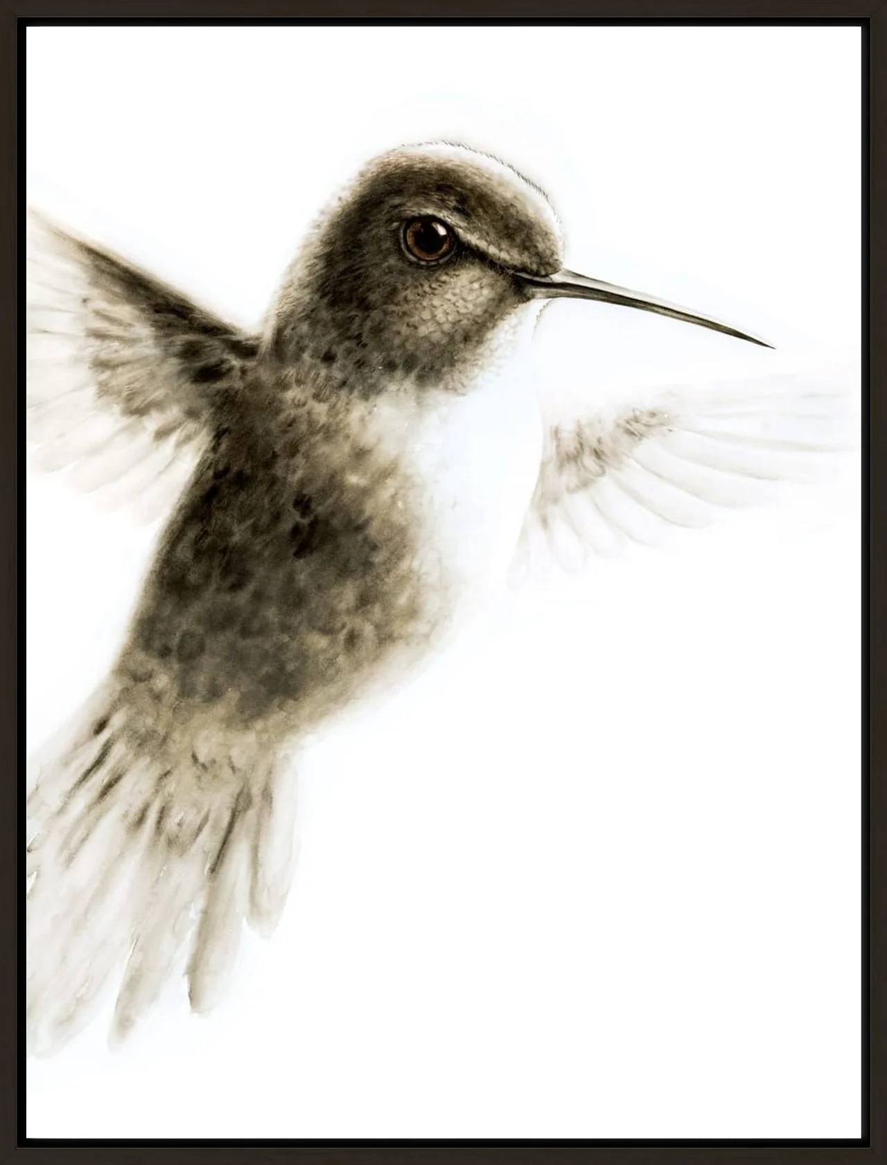 Hummingbird shown in a room setting