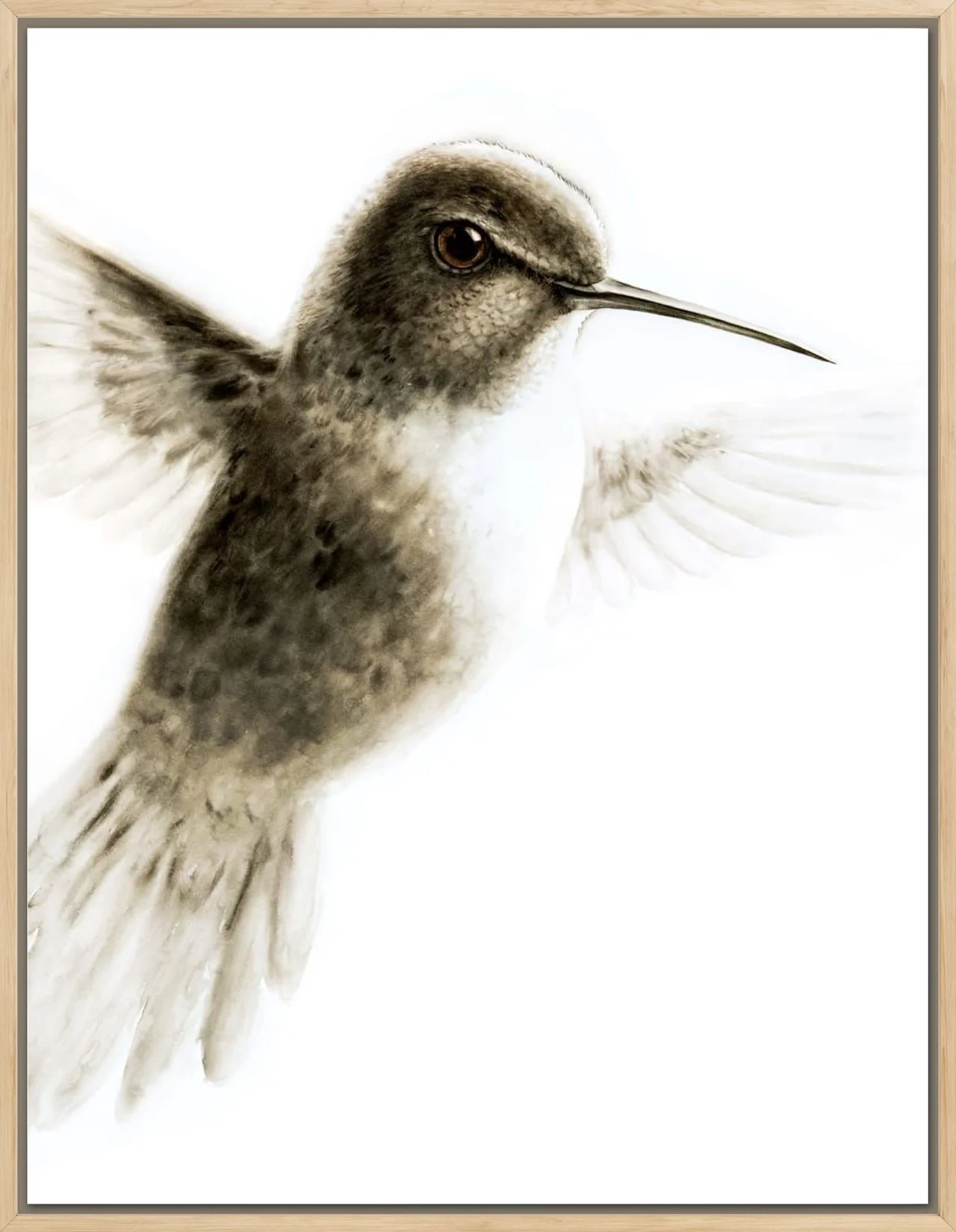 Hummingbird shown in a room setting