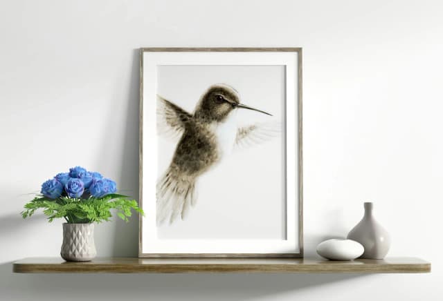 Hummingbird shown in a room setting
