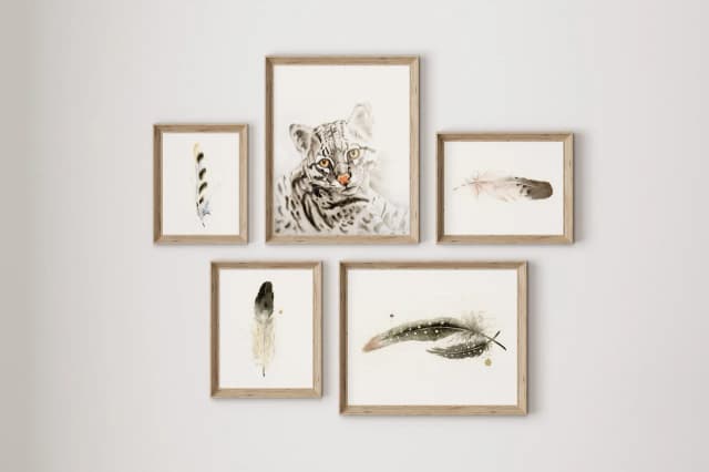 Ocelot shown in a room setting