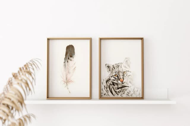 Ocelot shown in a room setting