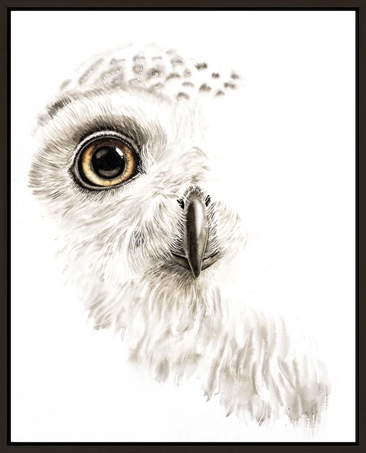 Snow Owl Gaze shown in a room setting