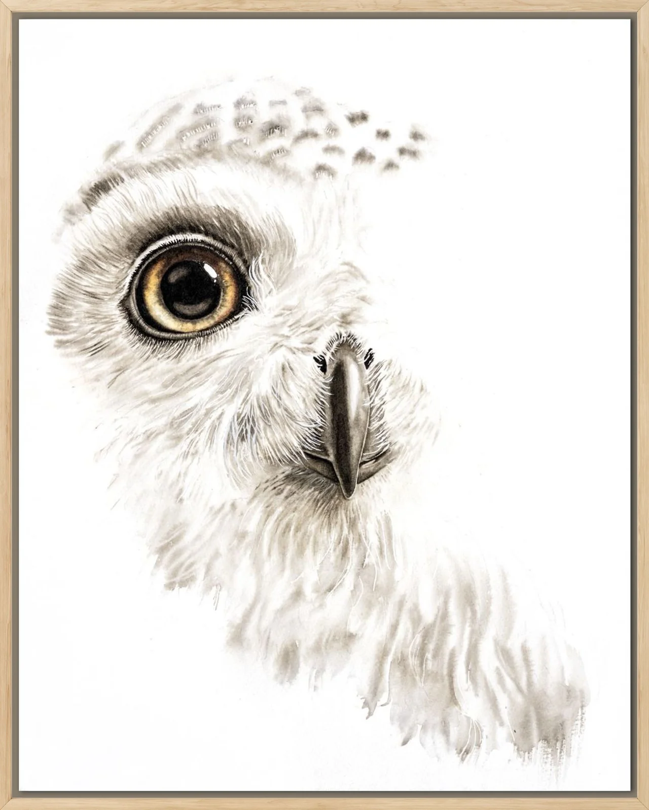 Snow Owl Gaze shown in a room setting
