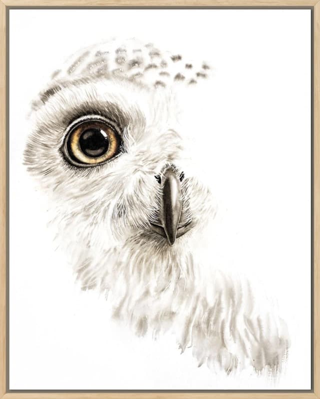 Snow Owl Gaze shown in a room setting