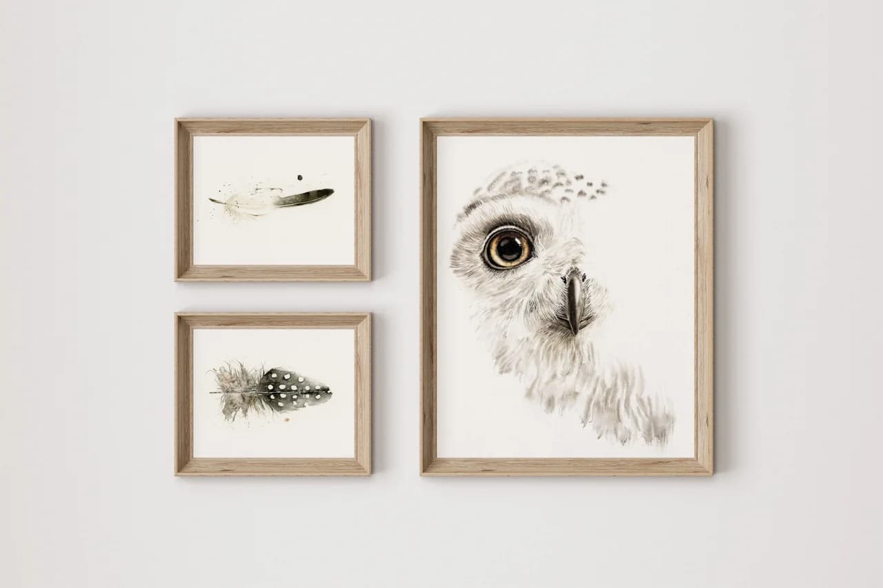 Snow Owl Gaze shown in a room setting