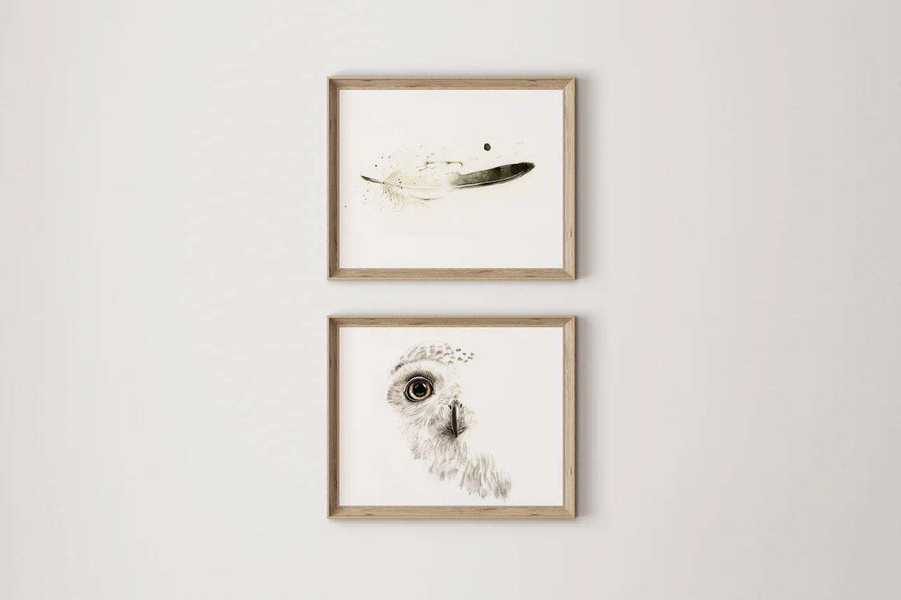 Snow Owl Gaze shown in a room setting